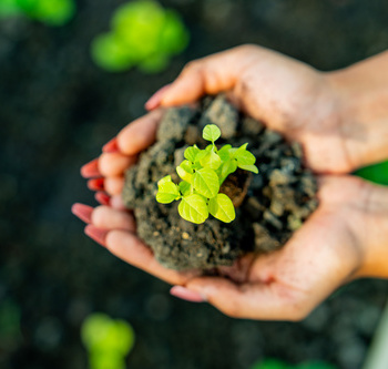 Инженерные биологические системы: междисциплинарное образование в школах - fgospostavki.ru - Киров