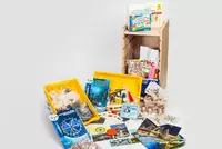 Учебно-методический набор для проектной деятельности в ДОО №1–ИТ (архитектура, мосты, простые механизмы) - fgospostavki.ru - Киров