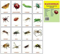 Раздаточные карточки "Насекомые" - fgospostavki.ru - Киров