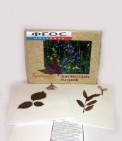 Гербарий "Дикорастущие растения" (28 видов) - fgospostavki.ru - Киров