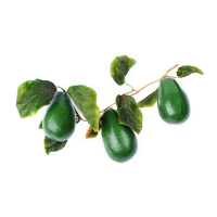 Ветка муляжей "Авокадо" - fgospostavki.ru - Киров