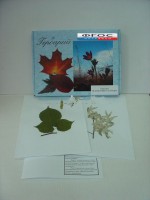 Гербарий "Медоносные растения" (24 вида) - fgospostavki.ru - Киров