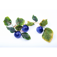 Ветка муляжей "Сливы" - fgospostavki.ru - Киров