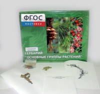 Гербарий "Основные группы растений" (52 листа) - fgospostavki.ru - Киров