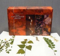 Гербарий для Начальной школы (28 видов) - fgospostavki.ru - Киров