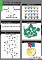 Комплект таблиц. Биология. Химия клетки. - fgospostavki.ru - Киров