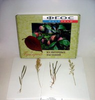 Гербарий "Культурные растения" (28 видов) - fgospostavki.ru - Киров