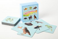 Набор магнитных карточек "Устный счет" (фон голубой) - fgospostavki.ru - Киров