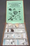 Коллекция "Многообразие раковин моллюсков" - fgospostavki.ru - Киров