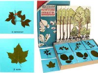 Гербарий "Растительные сообщества" - fgospostavki.ru - Киров