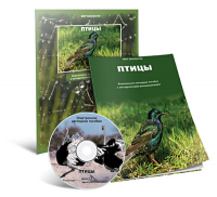 Электронное наглядное пособие «Птицы» - fgospostavki.ru - Киров