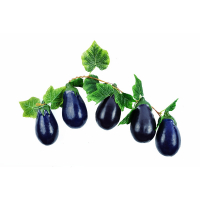 Ветка муляжей "Баклажаны" - fgospostavki.ru - Киров