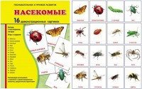 Демонстрационные карточки "Насекомые" - fgospostavki.ru - Киров