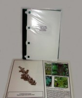 Гербарий "Эволюция высших растений" (ламинированный) - fgospostavki.ru - Киров