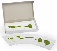 Модель-аппликация "Роль ядра в регуляции развития организма" (набор из 8 карт) - fgospostavki.ru - Киров