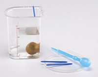 Сосуд Архимеда - fgospostavki.ru - Киров