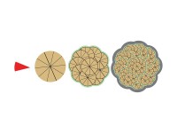 Магнитная математика Наталии Пятибратовой (Числовые фигуры) - fgospostavki.ru - Киров