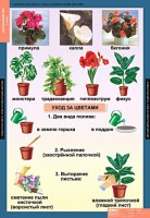 Комплект таблиц. Окружающий мир 1 класс. - fgospostavki.ru - Киров