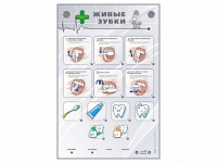 Интерактивный стенд "Живые зубки" - fgospostavki.ru - Киров