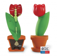 Модель цветка - fgospostavki.ru - Киров