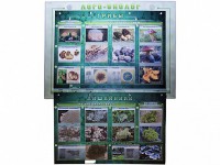 Комбинированный модульный комплекс "Лого-биолог" - fgospostavki.ru - Киров