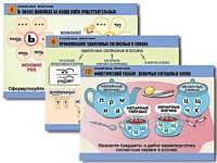 Комплект таблиц "Русский язык. Орфография" (14 таблиц, формат А1, ламинированные) - fgospostavki.ru - Киров