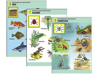 Комплект таблиц "Окружающий мир. Животный мир" (8 таблиц, А1, ламинированные) - fgospostavki.ru - Киров
