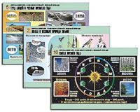 Комплект таблиц "Окружающий мир. Изменения в живой и неживой природе" (10 таблиц, А1, ламинированные) - fgospostavki.ru - Киров