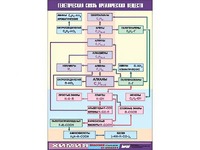 Таблица демонстрационная "Генетическая связь органических веществ" (винил 100x140) - fgospostavki.ru - Киров