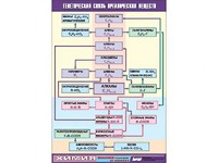 Таблица демонстрационная "Генетическая связь органических веществ" (винил 70x100) - fgospostavki.ru - Киров