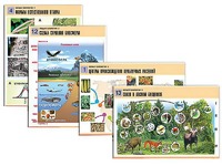 Комплект таблиц по биологии демонстрационных "Общая биология 2" (14 таблиц, формат А1, ламинированные) - fgospostavki.ru - Киров