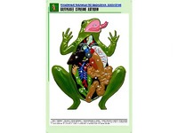 Рельефная таблица "Внутреннее строение лягушки" (формат А1, матовое ламинирование) - fgospostavki.ru - Киров