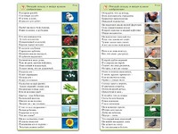 Комплект карточек (10) "Обучающий калейдоскоп. Природа" - fgospostavki.ru - Киров