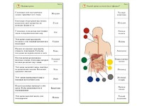 Комплект карточек (10) "Обучающий калейдоскоп. Человек" - fgospostavki.ru - Киров