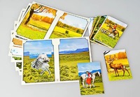 Настольно-печатная игра "Вокруг света" - fgospostavki.ru - Киров