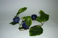 Ветка муляжей "Слива" - fgospostavki.ru - Киров