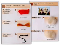 Коллекция "Шерсть" (начальная школа) - fgospostavki.ru - Киров