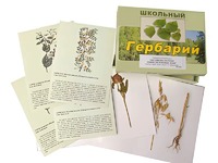 Гербарий "Систематика растений. Семейство Бобовые. Злаки" (раздаточный) - fgospostavki.ru - Киров