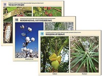 Гербарий фотографический "Сельскохозяйственные растения мира" - fgospostavki.ru - Киров