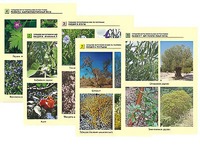 Гербарий фотографический по географии - fgospostavki.ru - Киров