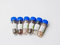 Набор № 6 ОС Щелочные и щелочноземельные металлы - fgospostavki.ru - Киров