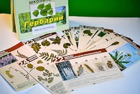 Гербарий к курсу основ общей биологии - fgospostavki.ru - Киров