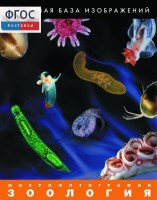 Зоология. Микрофотографии. (Цифровая база изображений) - fgospostavki.ru - Киров