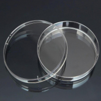 Чашка Петри стеклянная с крышкой 100х20 - fgospostavki.ru - Киров