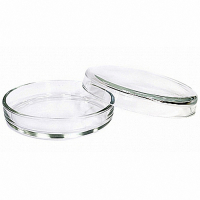 Чашка Петри 100х20 - fgospostavki.ru - Киров