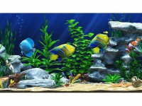 Интерактивный аттракционный комплекс "Водный мир" - fgospostavki.ru - Киров