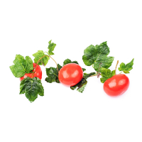 Ветка муляжей "Помидоры" - fgospostavki.ru - Киров