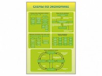 Стенды "Схемы по экономике" - fgospostavki.ru - Киров