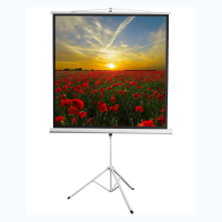 Экран на штативе DSKD-1105  - fgospostavki.ru - Киров