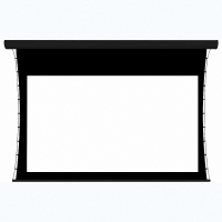 Экран настенный с электроприводом DSTPX-16916 - fgospostavki.ru - Киров